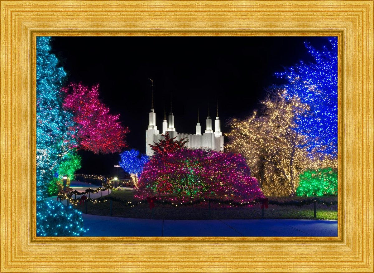 Washington DC Temple Colorful Christmas