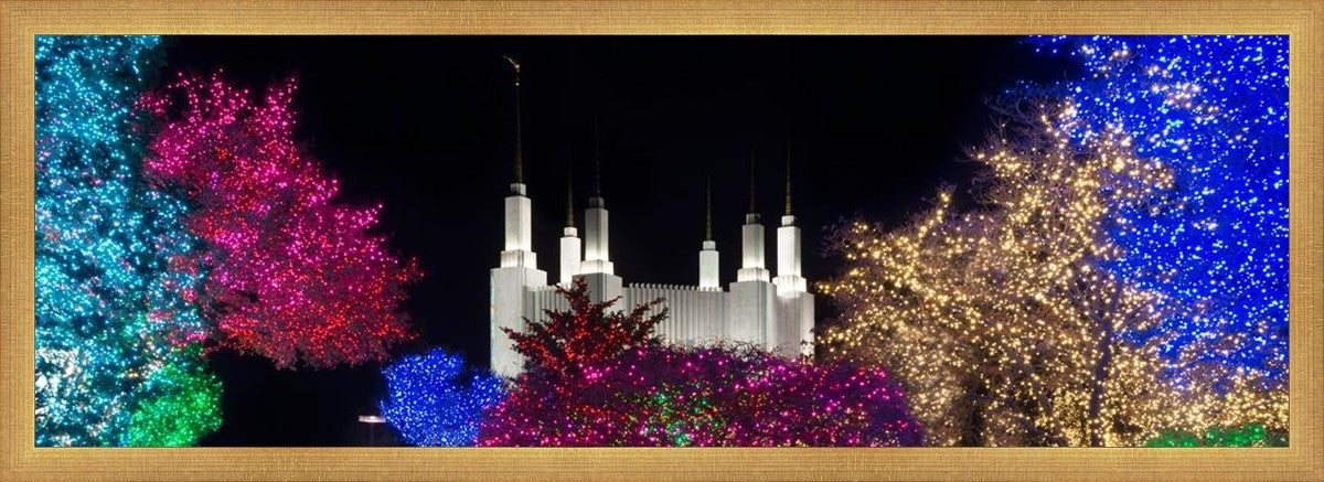 Washington DC Temple Colorful Christmas