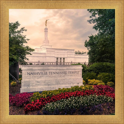 Nashville After The Storm