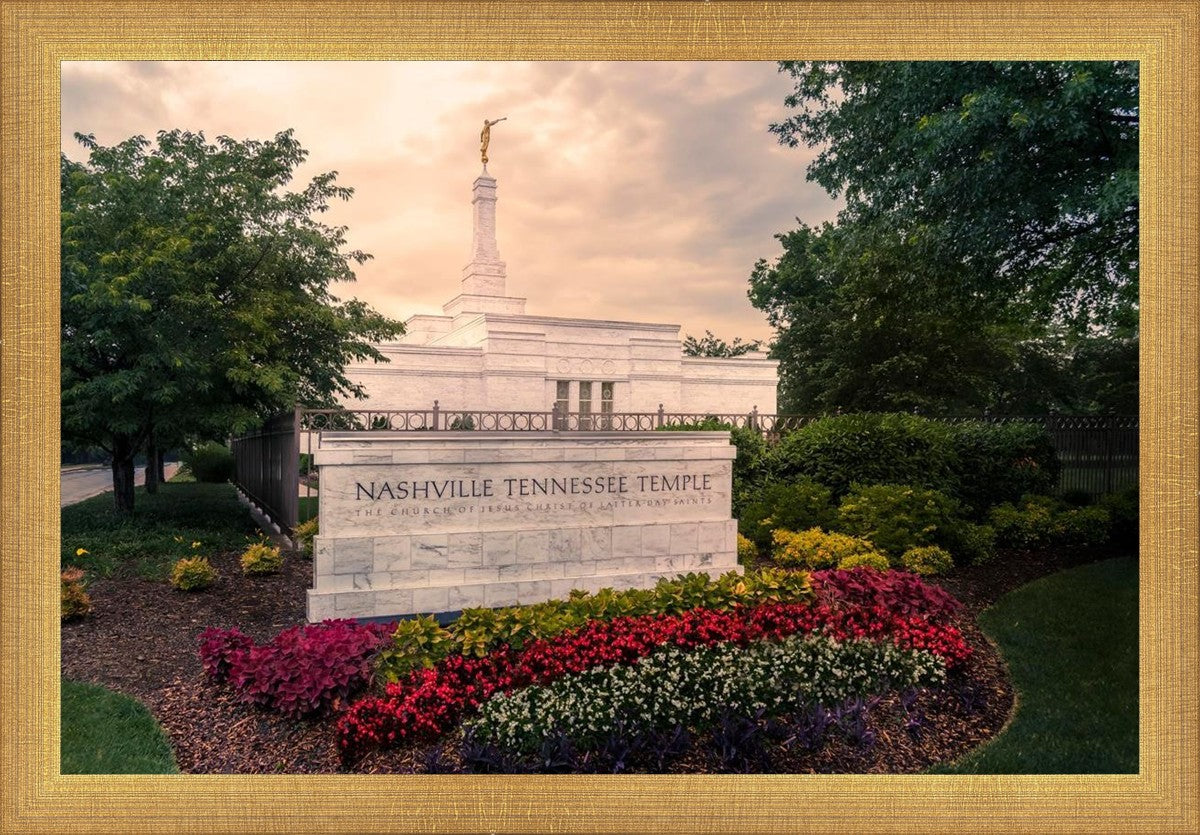 Nashville After The Storm