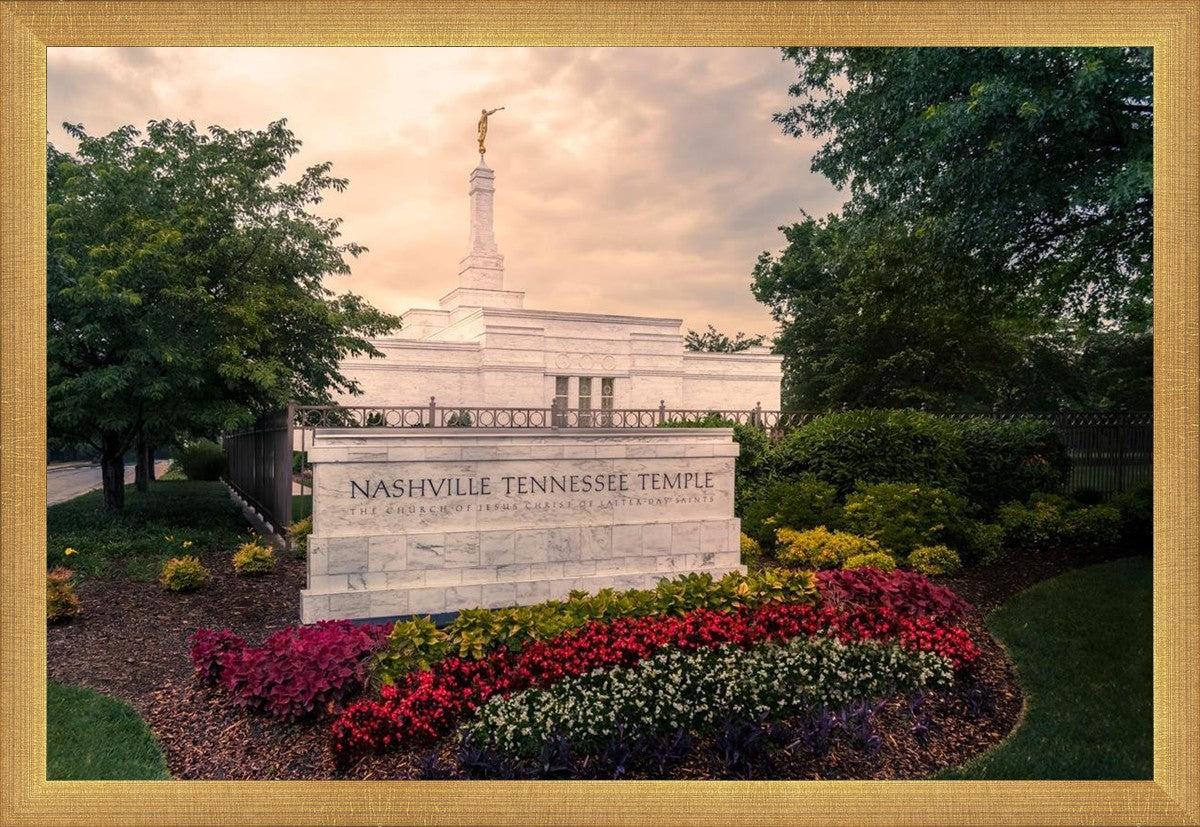 Nashville After The Storm