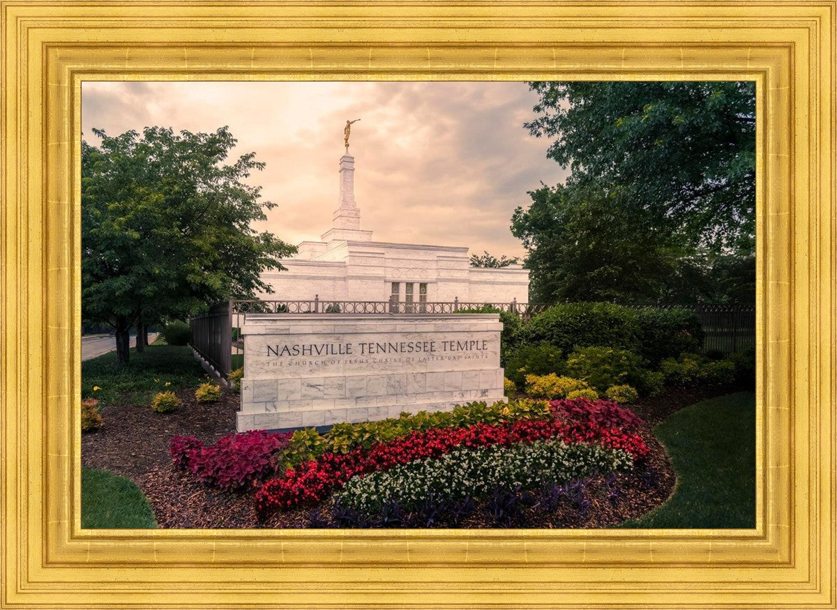 Nashville After The Storm