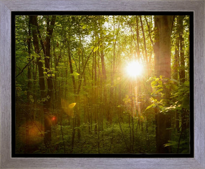 The Morning Breaks Gallery Wrap