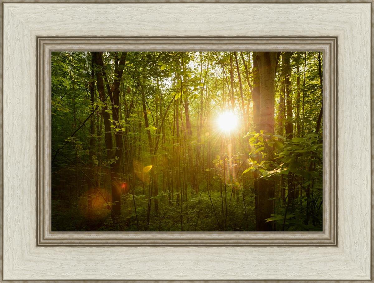 The Morning Breaks