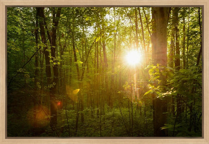 The Morning Breaks Gallery Wrap