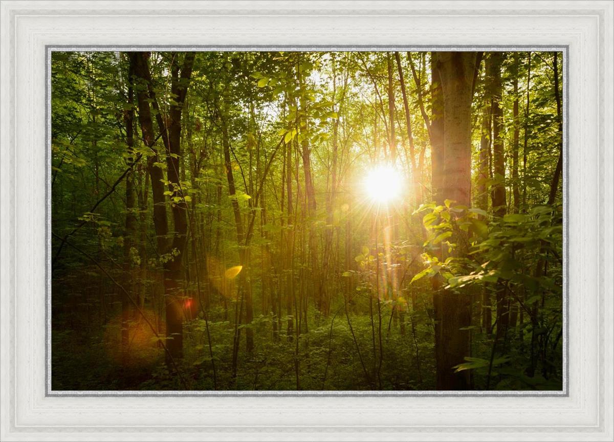 The Morning Breaks