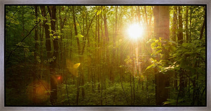 The Morning Breaks Gallery Wrap