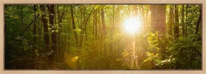 The Morning Breaks Gallery Wrap