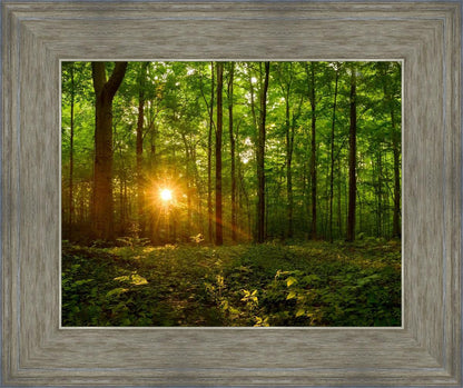 Sacred Morning