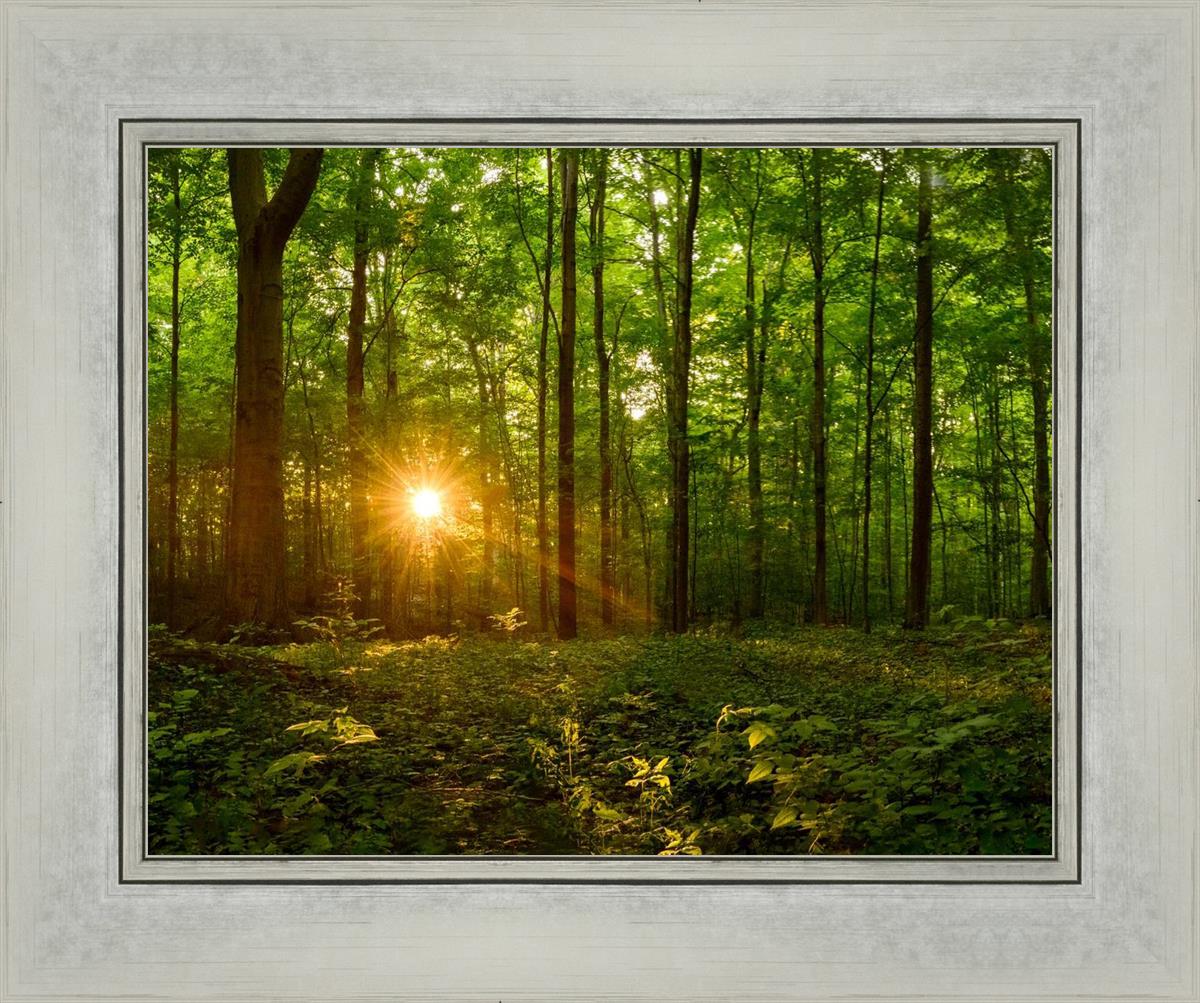 Sacred Morning