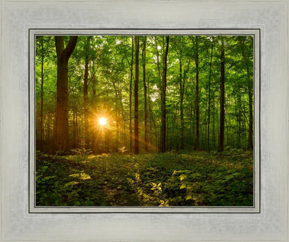 Sacred Morning
