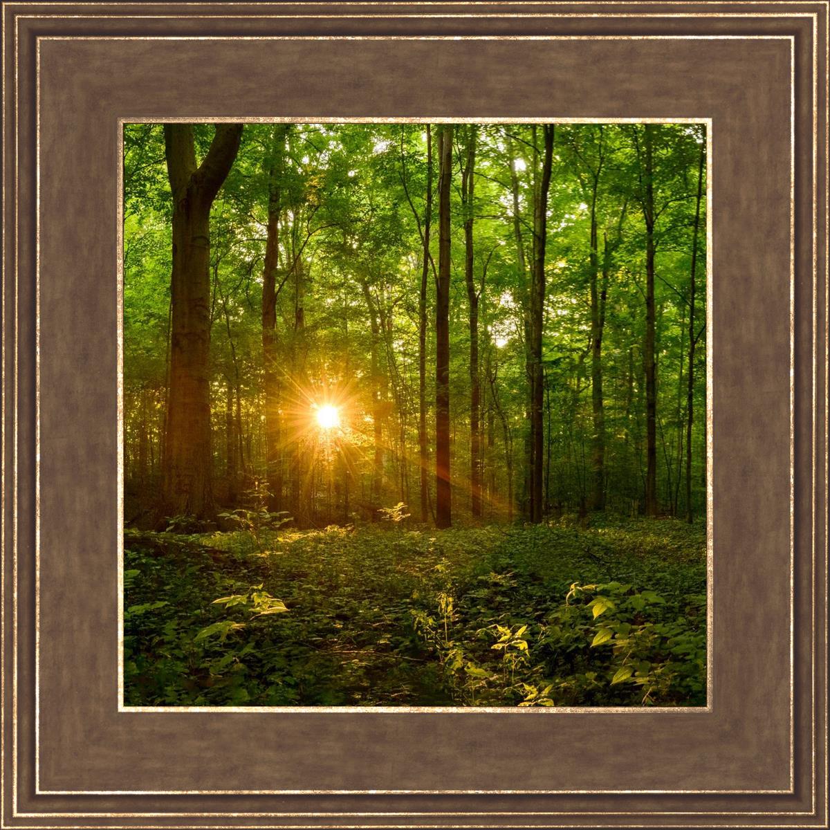 Sacred Morning