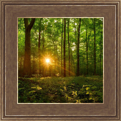 Sacred Morning