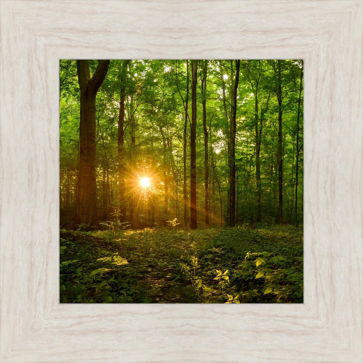 Sacred Morning