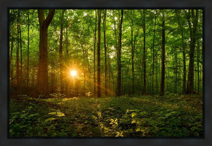 Sacred Morning Gallery Wrap