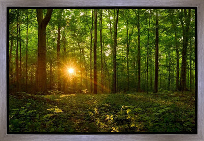 Sacred Morning Gallery Wrap
