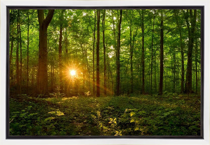 Sacred Morning Gallery Wrap