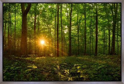 Sacred Morning Gallery Wrap