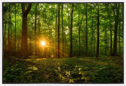 Sacred Morning Gallery Wrap