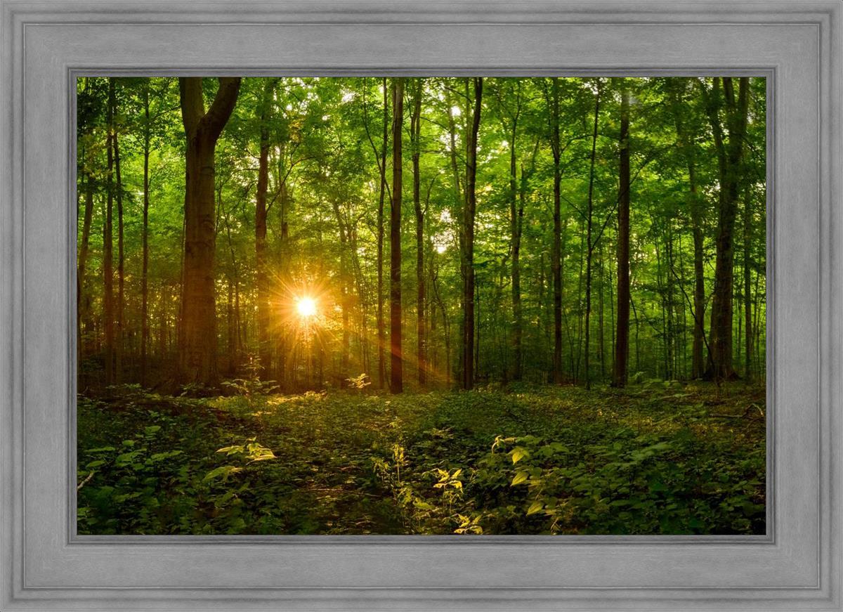 Sacred Morning
