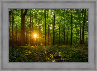 Sacred Morning