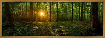 Sacred Morning Gallery Wrap