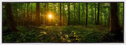 Sacred Morning Gallery Wrap