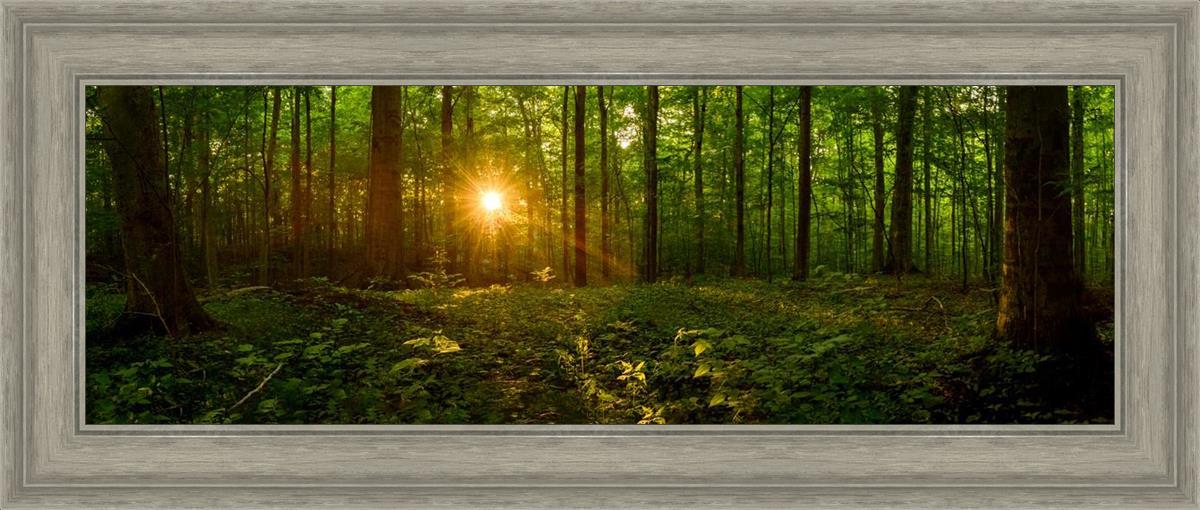 Sacred Morning