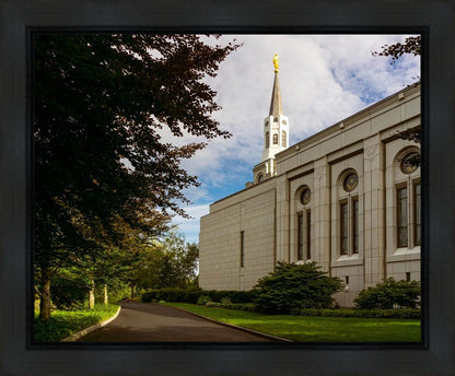 Boston Temple Trees Of Life Gallery Wrap