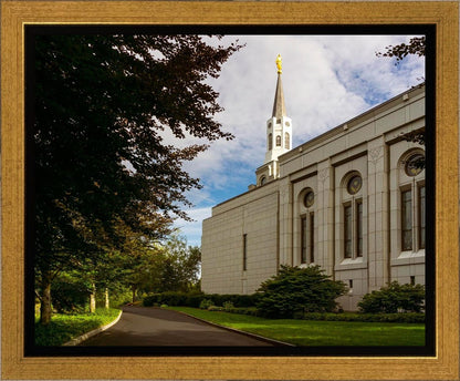 Boston Temple Trees Of Life Gallery Wrap