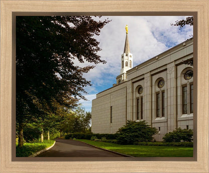 Boston Temple Trees Of Life Gallery Wrap