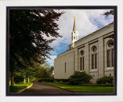 Boston Temple Trees Of Life Gallery Wrap