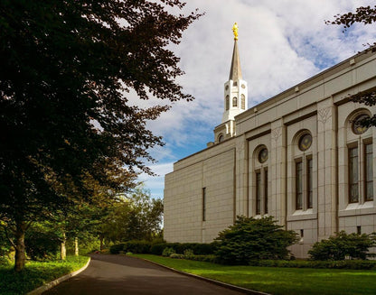 Boston Temple Trees Of Life Gallery Wrap