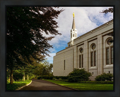 Boston Temple Trees Of Life Gallery Wrap