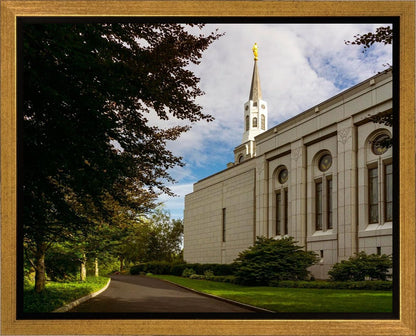 Boston Temple Trees Of Life Gallery Wrap
