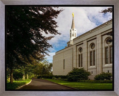 Boston Temple Trees Of Life Gallery Wrap