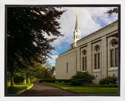 Boston Temple Trees Of Life Gallery Wrap