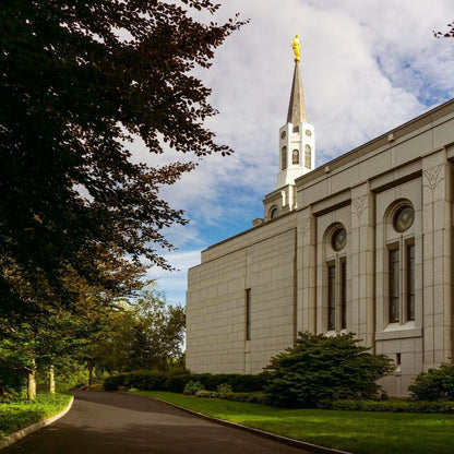 Boston Temple Trees Of Life Gallery Wrap