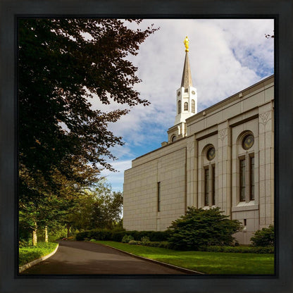 Boston Temple Trees Of Life Gallery Wrap