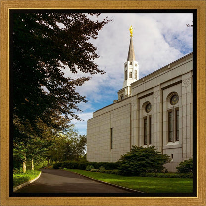 Boston Temple Trees Of Life Gallery Wrap