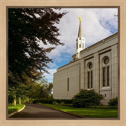 Boston Temple Trees Of Life Gallery Wrap