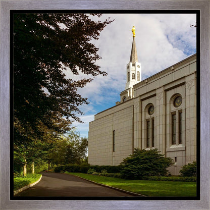 Boston Temple Trees Of Life Gallery Wrap