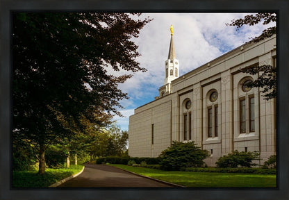 Boston Temple Trees Of Life Gallery Wrap