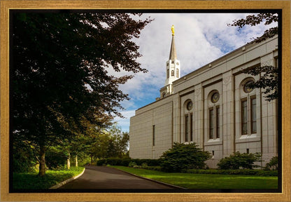Boston Temple Trees Of Life Gallery Wrap