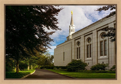 Boston Temple Trees Of Life Gallery Wrap