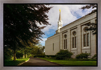 Boston Temple Trees Of Life Gallery Wrap