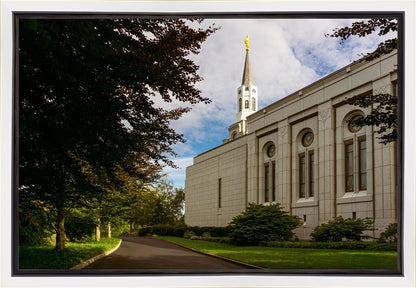 Boston Temple Trees Of Life Gallery Wrap