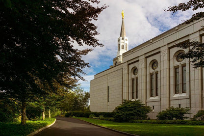 Boston Temple Trees Of Life Gallery Wrap