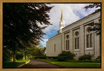 Boston Temple Trees Of Life Gallery Wrap