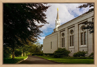 Boston Temple Trees Of Life Gallery Wrap